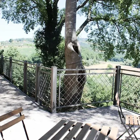 The Olive Tree